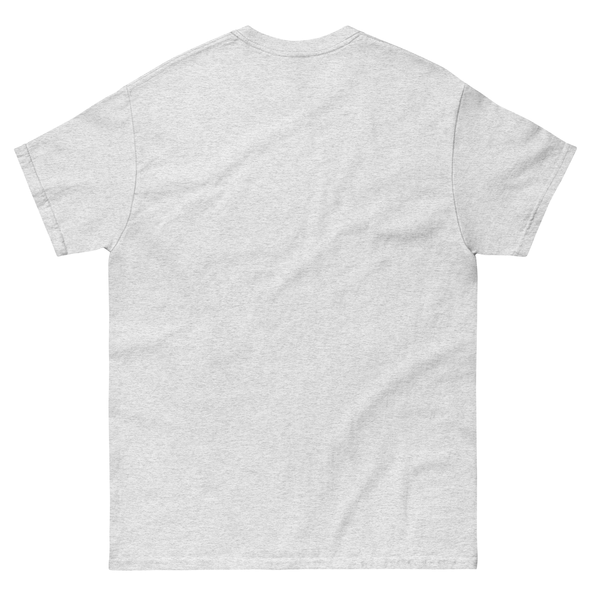 Ash Grey T-Shirt